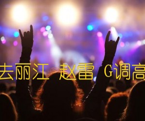 《再也不会去丽江 赵雷 G调高清弹唱谱吉他谱》_群星_G调 图片谱1张