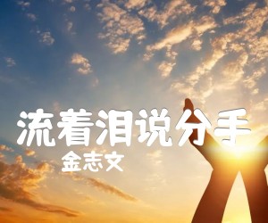 《流着泪说分手吉他谱》_金志文 图片谱3张