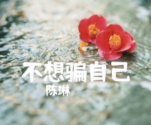 《不想骗自己吉他谱》_陈琳 图片谱3张