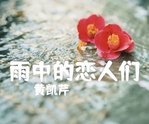 《雨中的恋人们吉他谱》_黄凯芹_G调 图片谱3张