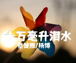 《十万毫升泪水吉他谱》_蔡健雅/杨博 图片谱5张