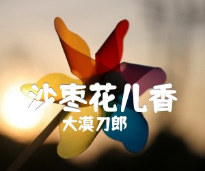 《沙枣花儿香吉他谱》_大漠刀郎 图片谱2张