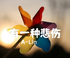 《有一种悲伤吉他谱》_A-Lin_C调_吉他图片谱2张