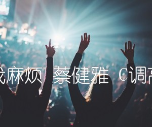 《别找我麻烦 蔡健雅 C调高清谱吉他谱》_群星_C调 图片谱1张