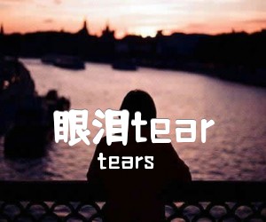 《眼泪tear吉他谱》_tears_GTP谱_的指弹吉他独奏曲谱 图片谱1张