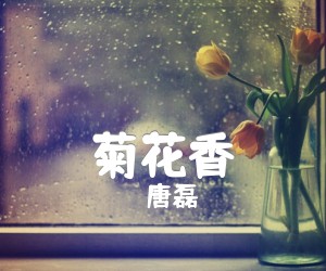 《菊花香吉他谱》_唐磊 文字谱