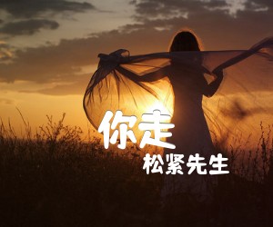 《你走吉他谱》_松紧先生_A调 图片谱3张