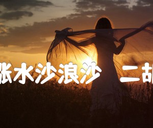 《大河涨水沙浪沙   二胡曲谱吉他谱》_张锐_G调 图片谱1张