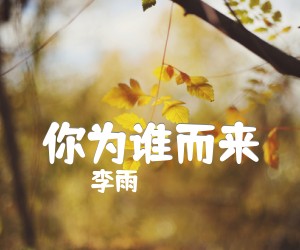 《你为谁而来》