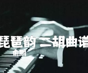 《琵琶韵 二胡曲谱吉他谱》_俞鹏_G调 图片谱1张