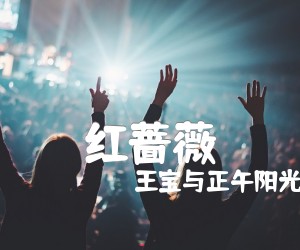 《红蔷薇吉他谱》_王宝与正午阳光_G调_吉他图片谱4张