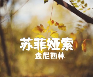 《苏菲娅索吉他谱》_盘尼西林_G调 图片谱2张