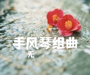 《手风琴组曲吉他谱》_无 图片谱1张