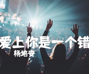 《爱上你是一个错吉他谱》_杨培安_G调 图片谱1张