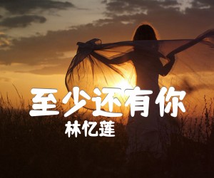 《至少还有你吉他谱》_林忆莲_C调_吉他图片谱3张