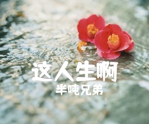 《这人生啊吉他谱》_半吨兄弟 图片谱3张