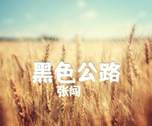 《黑色公路吉他谱》_张闯_G调 图片谱6张