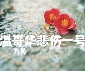 《温哥华悲伤一号吉他谱》_万芳_C调 图片谱2张