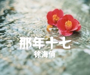 《那年十七吉他谱》_徐海俏_G调 图片谱2张