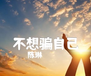 《不想骗自己吉他谱》_陈琳 图片谱1张