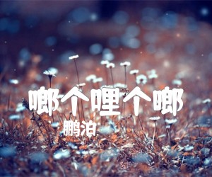 《啷个哩个啷吉他谱》_鹏泊__C调图片谱完整版_C调_吉他图片谱3张