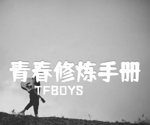 《青春修炼手册吉他谱》_TFBOYS_扫弦谱_C调 图片谱6张