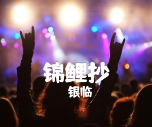 《银临 锦鲤抄吉他谱》_银临_D调_吉他图片谱6张