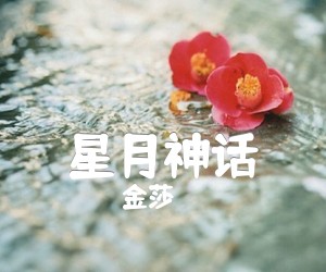 《星月神话吉他谱》_金莎_C调 图片谱2张