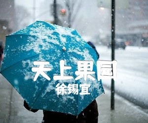 《天上果园吉他谱》_徐锡宜_G调 图片谱1张