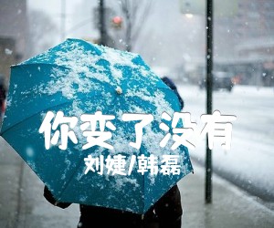 《你变了没有吉他谱》_刘婕/韩磊_C调 图片谱2张