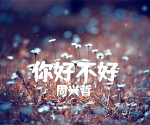 《你好不好吉他谱》_周兴哲__图片谱完整版 图片谱2张