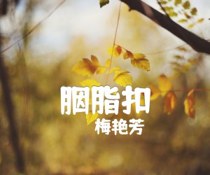 《胭脂扣吉他谱》_梅艳芳_G调 图片谱1张