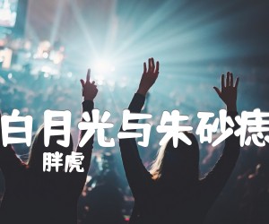 《白月光与朱砂痣吉他谱》_胖虎 图片谱1张