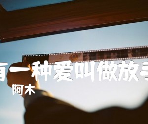 《有一种爱叫做放手吉他谱》_阿木_B调 图片谱8张