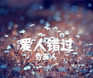 《爱人错过吉他谱》_告五人_C调 图片谱3张