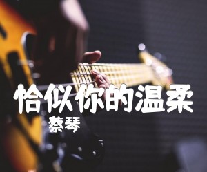 《恰似你的温柔吉他谱》_蔡琴_D调 图片谱3张