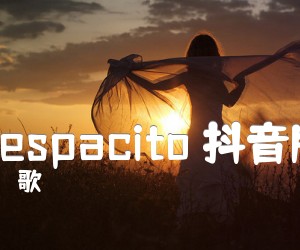 《Despacito 抖音版吉他谱》_歌 图片谱1张