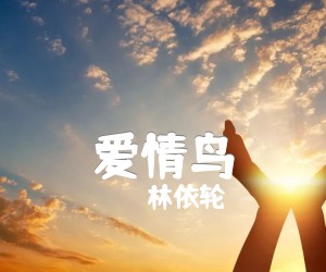 《爱情鸟吉他谱》_林依轮_G调 图片谱1张