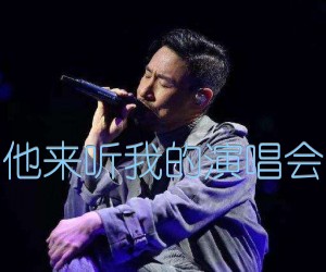 《他来听我的演唱会吉他谱》_张学友_G调 图片谱1张