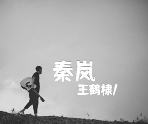 《秦岚<懂吉他谱》_王鹤棣/ 图片谱2张