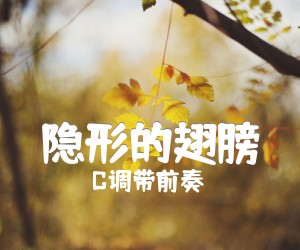 《隐形的翅膀》