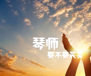 《琴师吉他谱》_要不要买菜_C调 图片谱3张