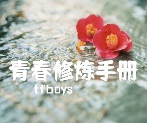 《青春修炼手册吉他谱》_tfboys 图片谱3张