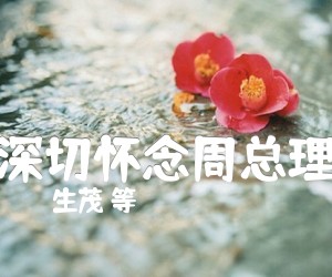 《深切怀念周总理吉他谱》_生茂 等_G调 图片谱1张