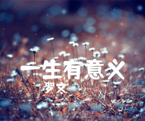 《一生有意义吉他谱》_罗文_C调 图片谱2张