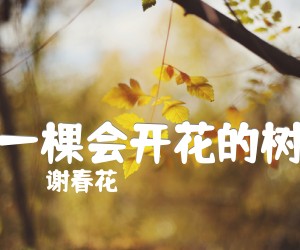 《一棵会开花的树》