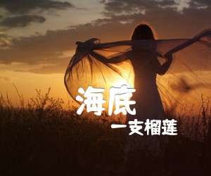 《海底吉他谱》_一支榴莲_G调 图片谱2张