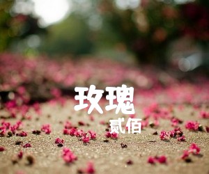 《玫瑰》