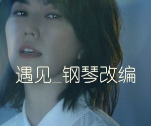 《遇见吉他谱》_孙燕姿_钢琴改编_G调_吉他图片谱2张