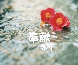 《奉献吉他谱》_苏芮_C调 图片谱1张